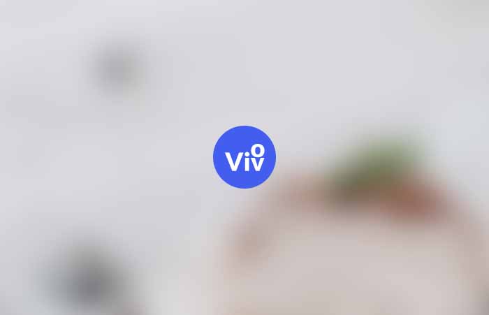 Vivo Admin